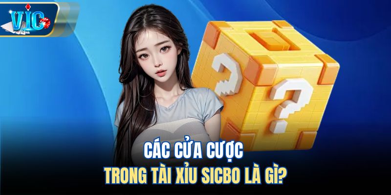 Các cửa cược trong tài xỉu Sicbo là gì?