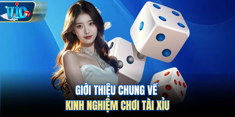 Giới thiệu chung về kinh nghiệm chơi tài xỉu