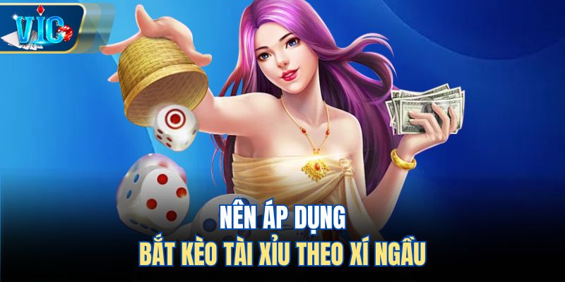 Nên áp dụng bắt kèo tài xỉu theo xí ngầu