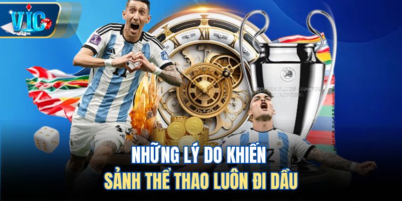 Những lý do khiến sảnh thể thao luôn đi dầu