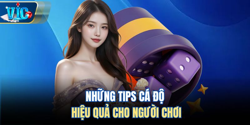 Những tips cá độ hiệu quả cho người chơi
